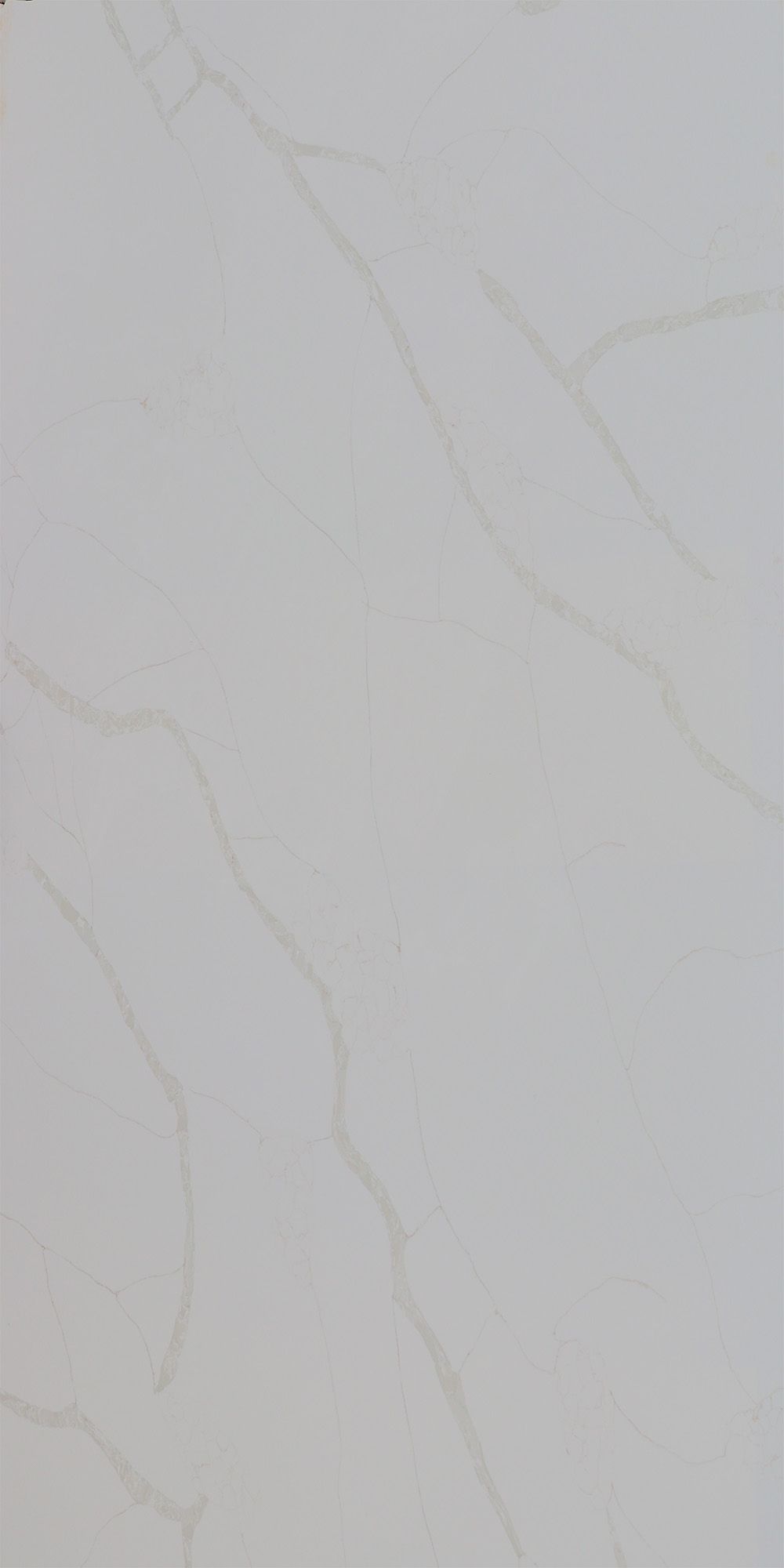 Calacatta Quartz
