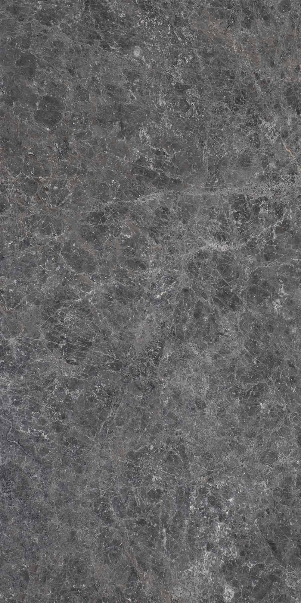 Tundra Grey